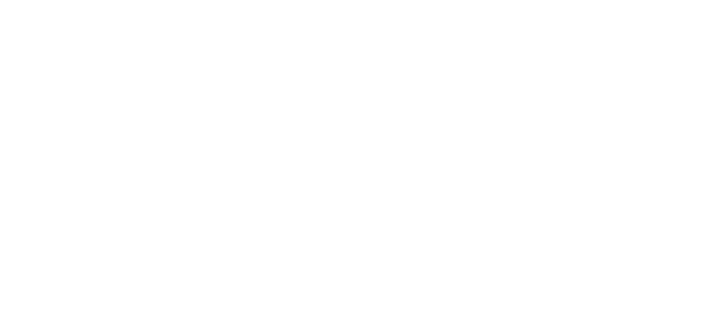 likeindiepro_logo